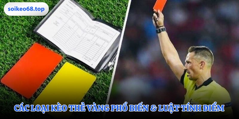 Nắm vững các loại hình dự đoán thẻ phạt cơ bản