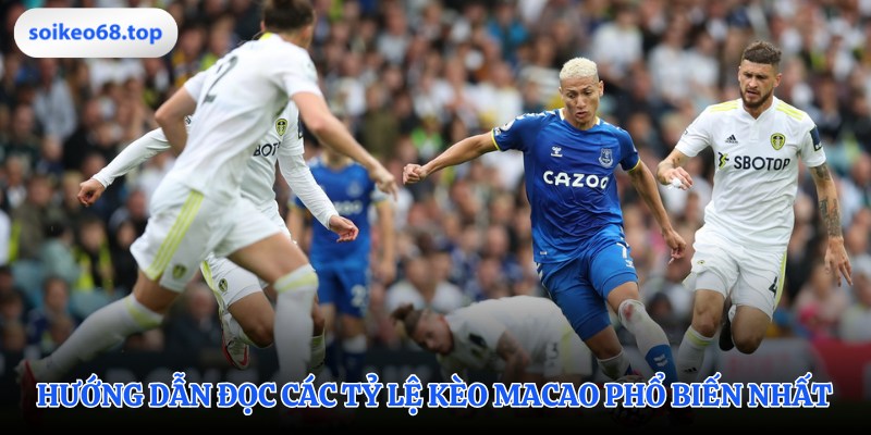 Thực hành đọc các tỷ lệ kèo Macao phổ biến