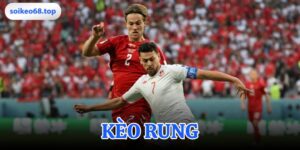 Kèo rung? Cách chơi tránh sai lầm của 90% người thua | Soikeo68