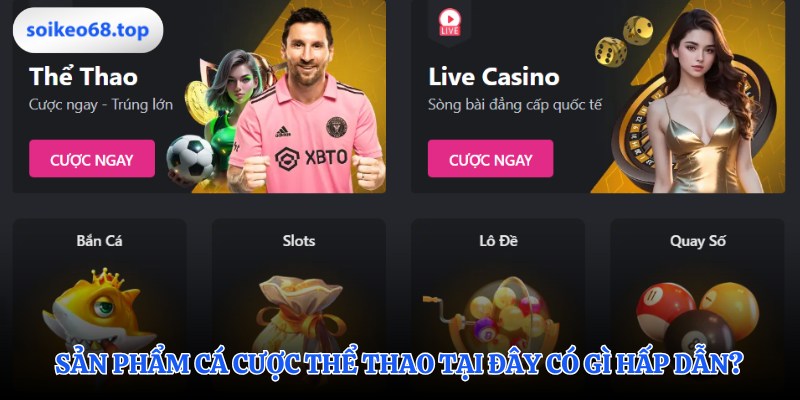 Sức hút từ sảnh cược thể thao