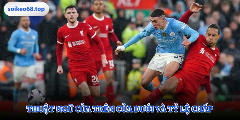 Các thuật ngữ trong kèo Macao